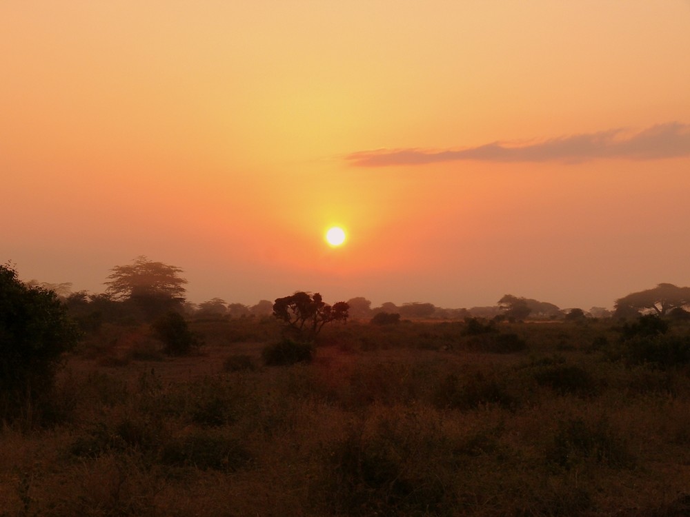 Kenia Sunset