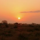 Kenia Sunset