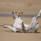 Kennedy am Strand von Newquay (Cornwall)