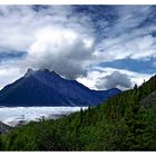 Kennicott Glacier Trail: #2