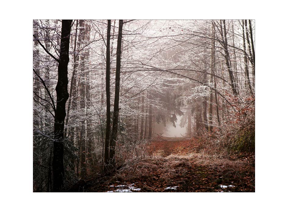 Kennst du den Weg durch den Nebel?