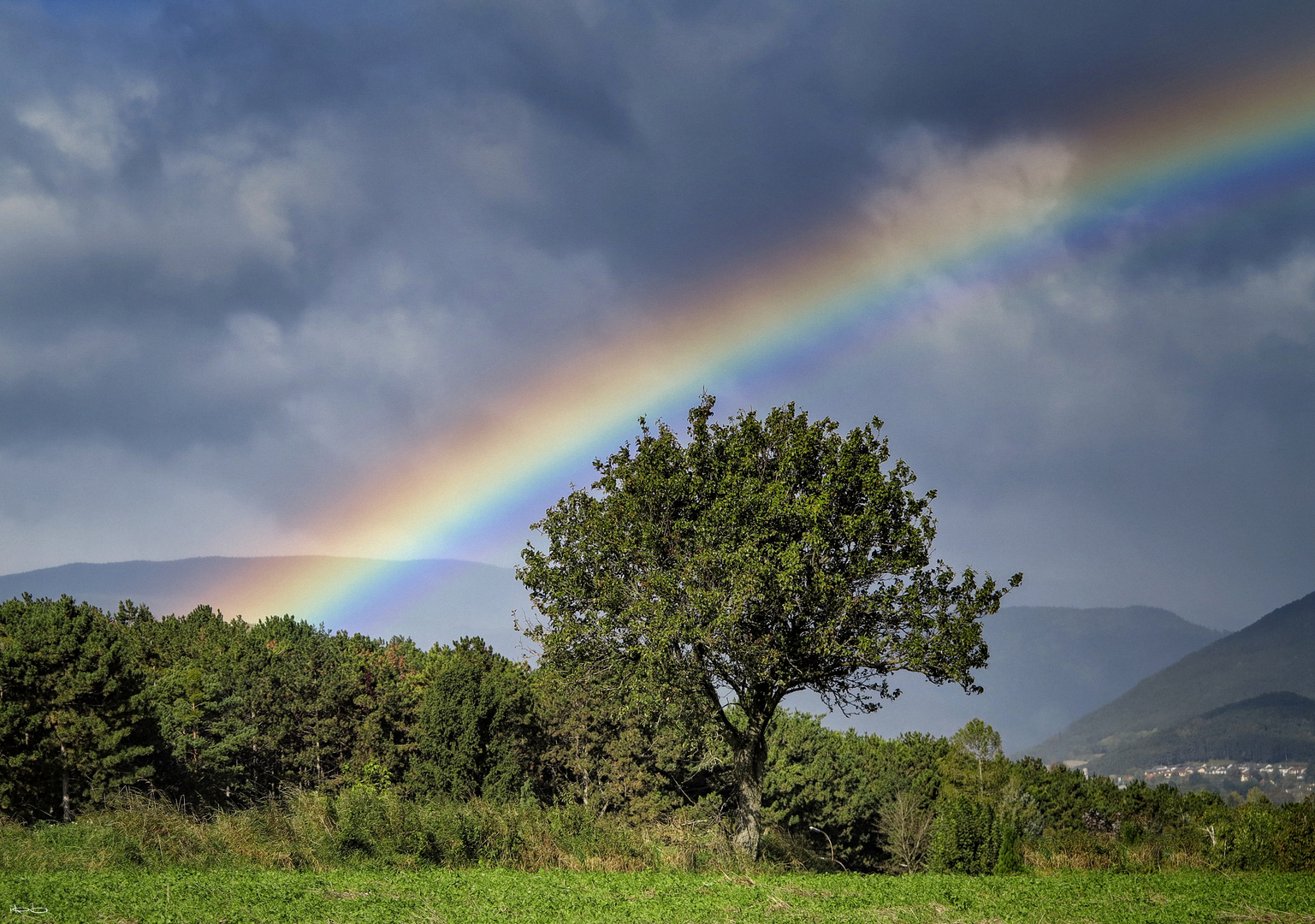 kennst du den Weg über den Regenbogen ?