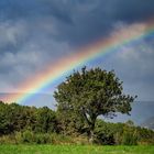 kennst du den Weg über den Regenbogen ?