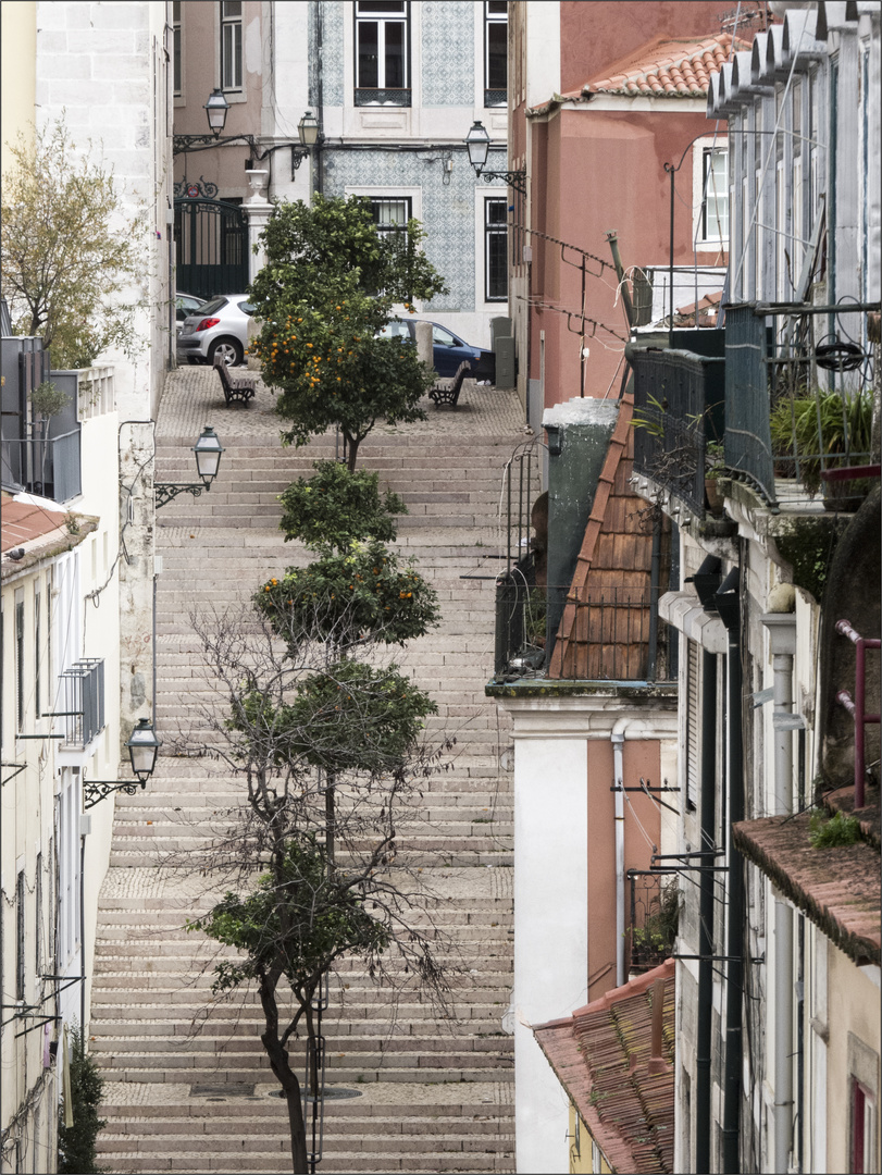 Kennst du die Straße, wo man Orangen ernten kann?