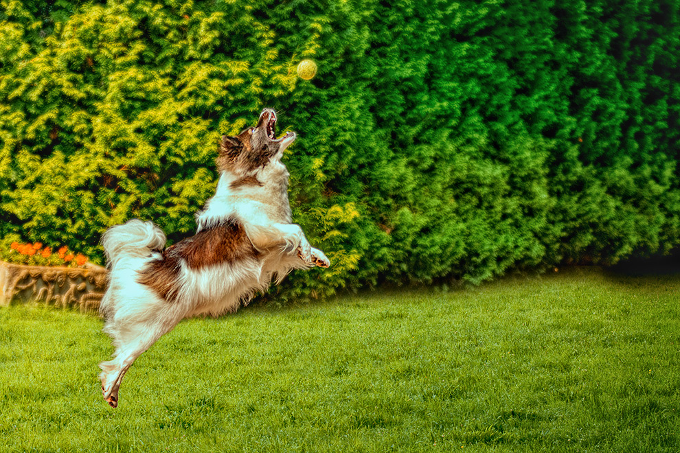 Kenny beim Sport