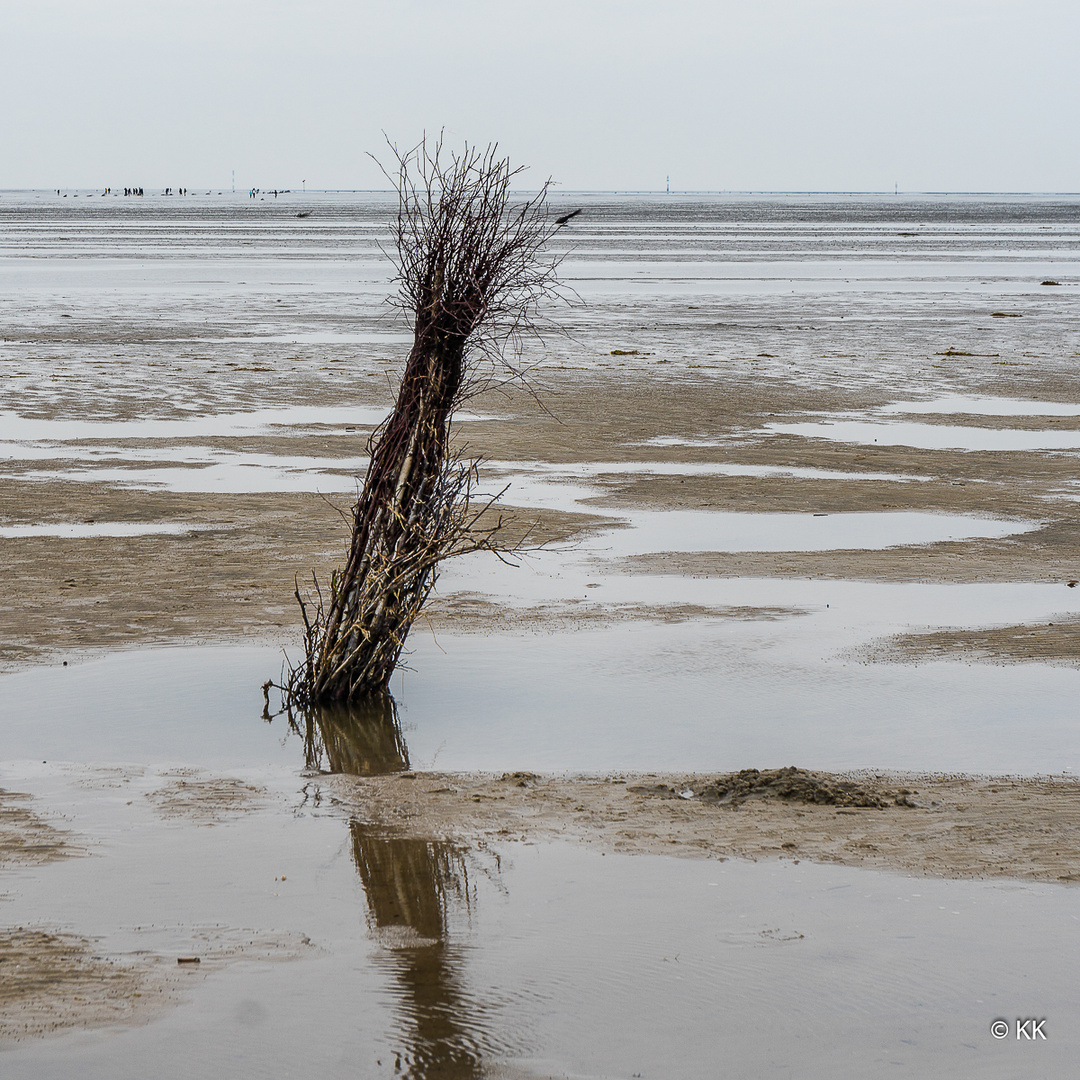 Kennzeichen im Wattenmeer