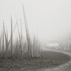 Kenro Izu - Buthan - 6