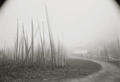 Kenro Izu - Buthan - 6