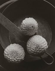 Kenro Izu - Still life - 26