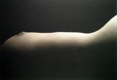 Kenro Izu - Still life - 30