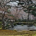 Kenroku-en Garten in Kanazawa - Gankobashi
