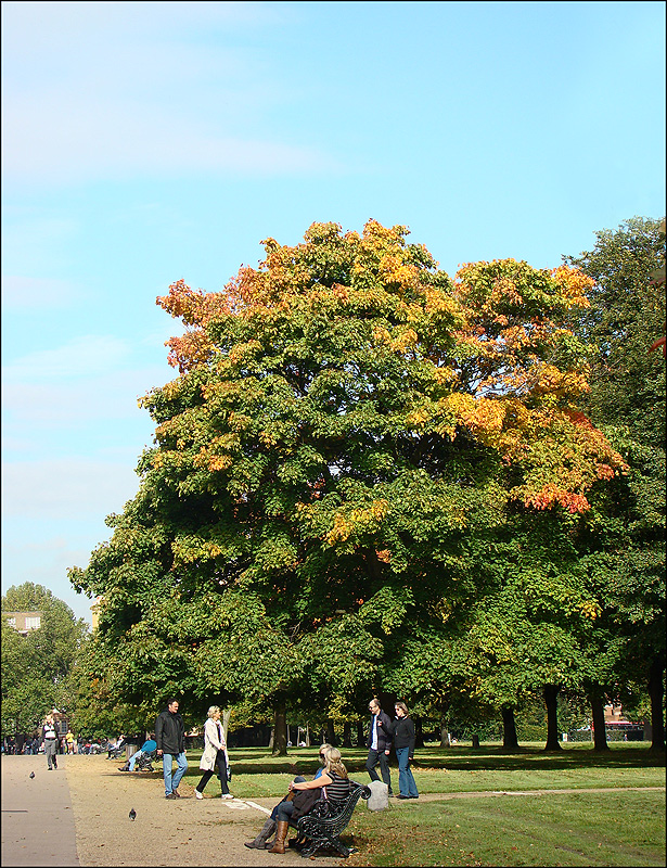 Kensington Gardens