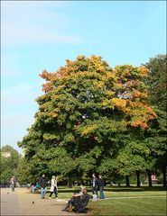 Kensington Gardens