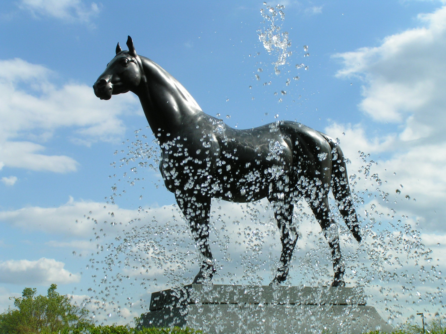 Kentucky Horse Park