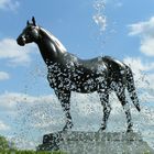 Kentucky Horse Park