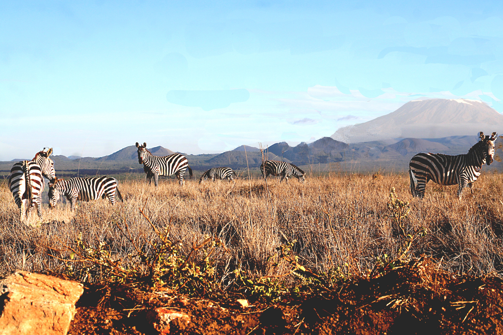 kenya 2009 355.jpg.