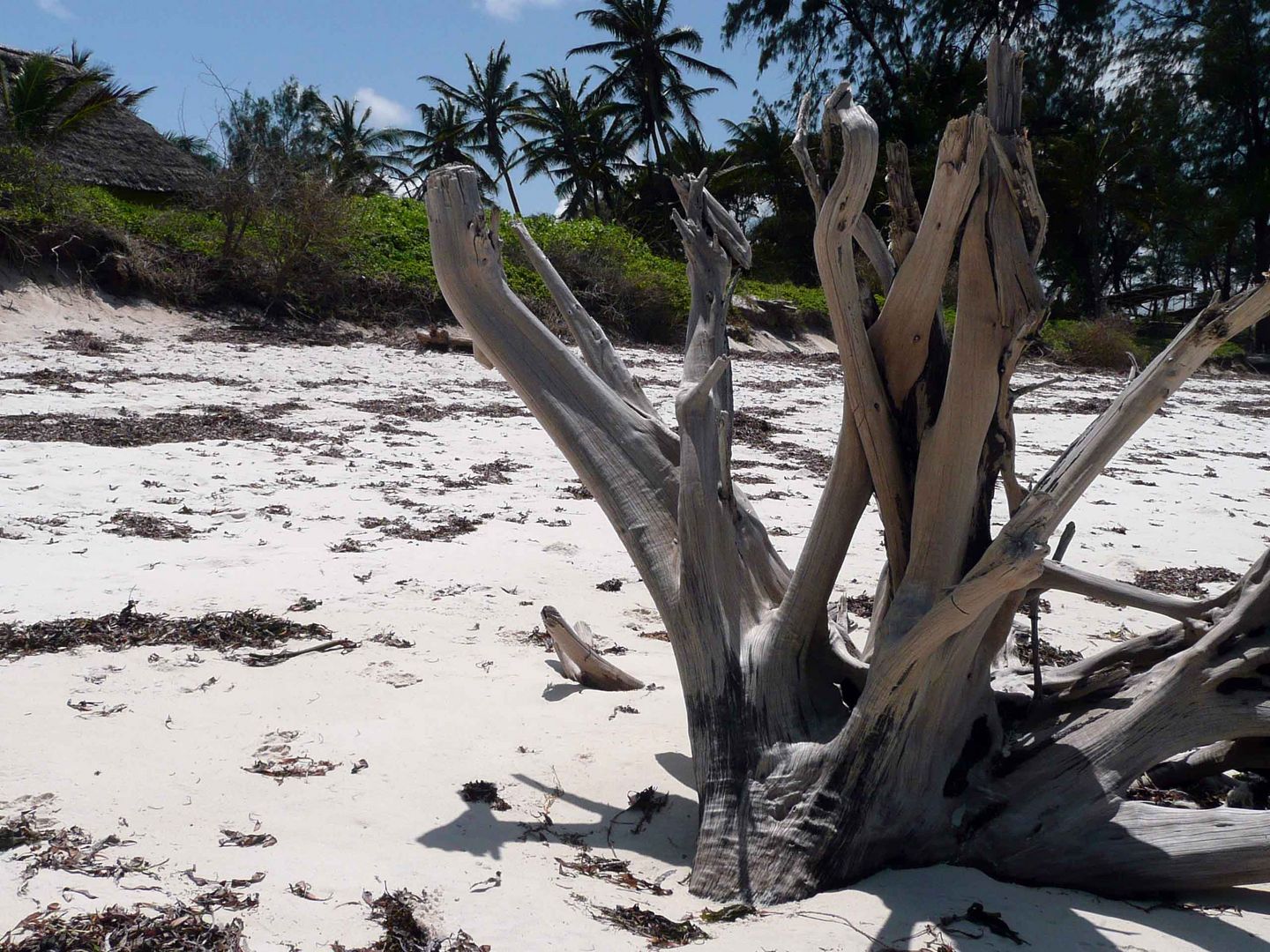 Kenya Beach