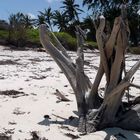 Kenya Beach