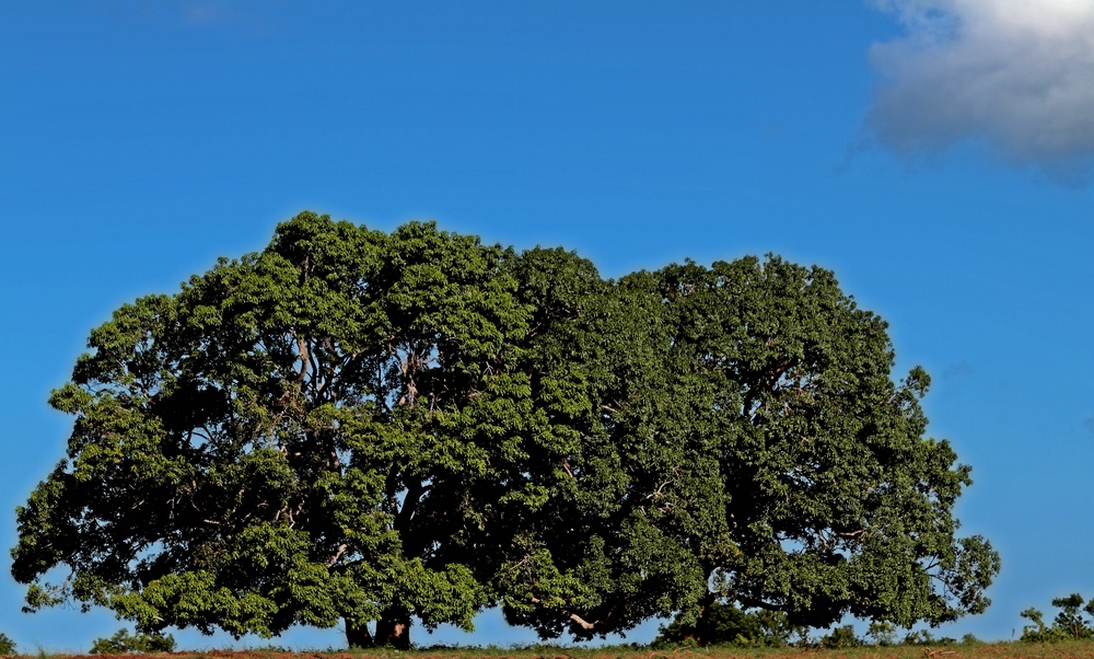 Kenya, Landschaft