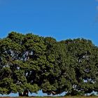 Kenya, Landschaft