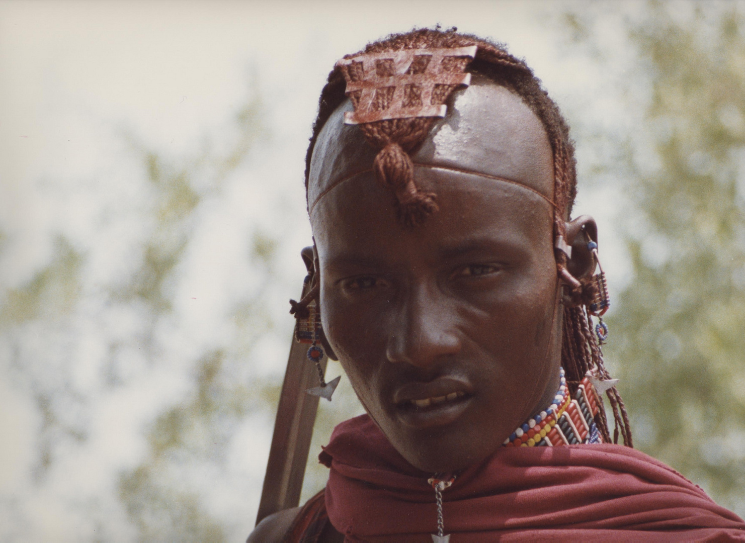 kenya: le guerrier masai