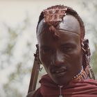 kenya: le guerrier masai