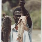 kenya ,le poisson chat