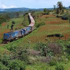 Kenya Railways 9310 + 9322 im Hochland von Nakuru