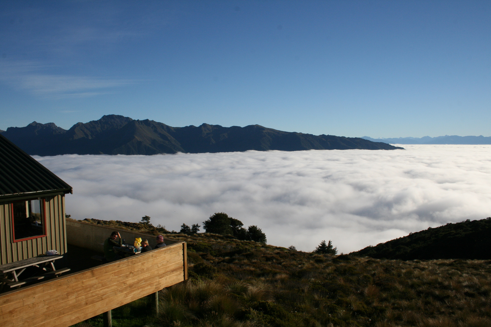 Kepler Track