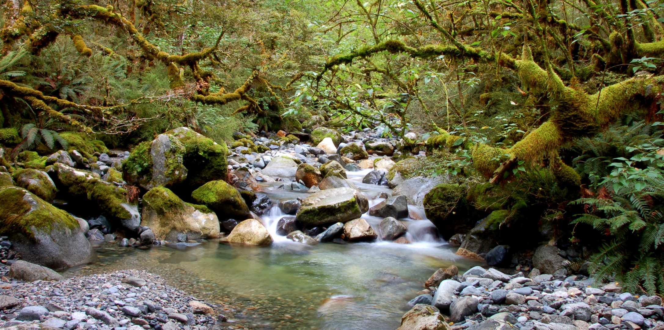 Kepler Track Creek