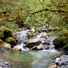 Kepler Track Creek