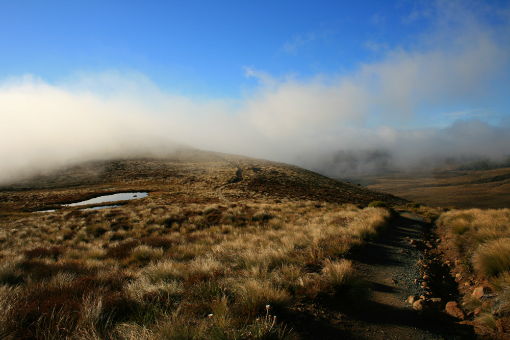 Kepler Track in the morning