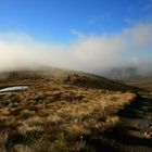 Kepler Track in the morning