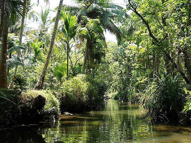 Kerala Backwater.