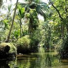 Kerala Backwater.