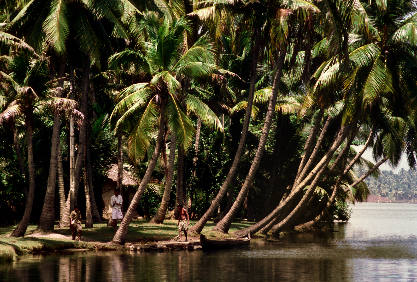 Kerala das "Kokosland"