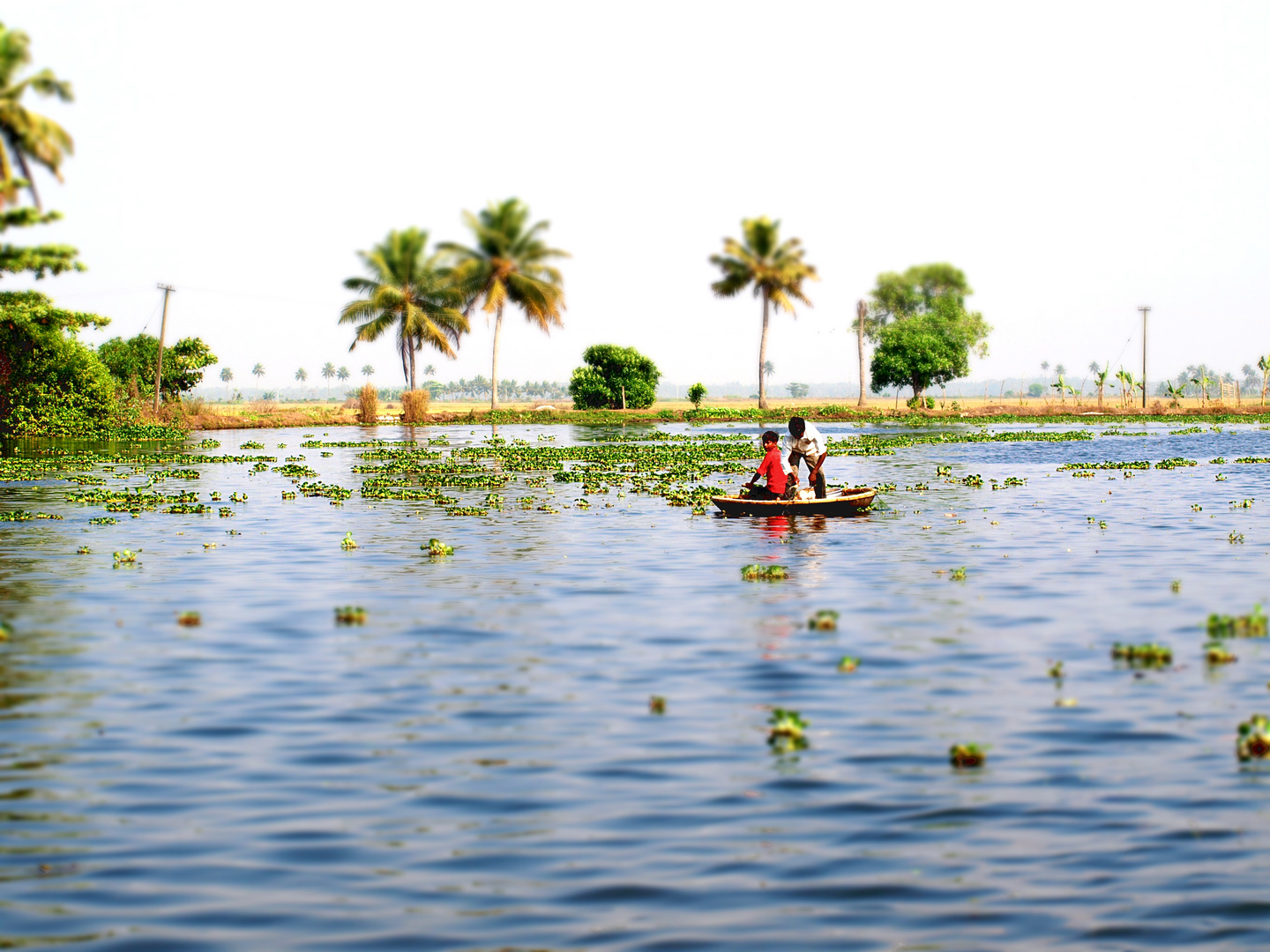 Kerala, Indien