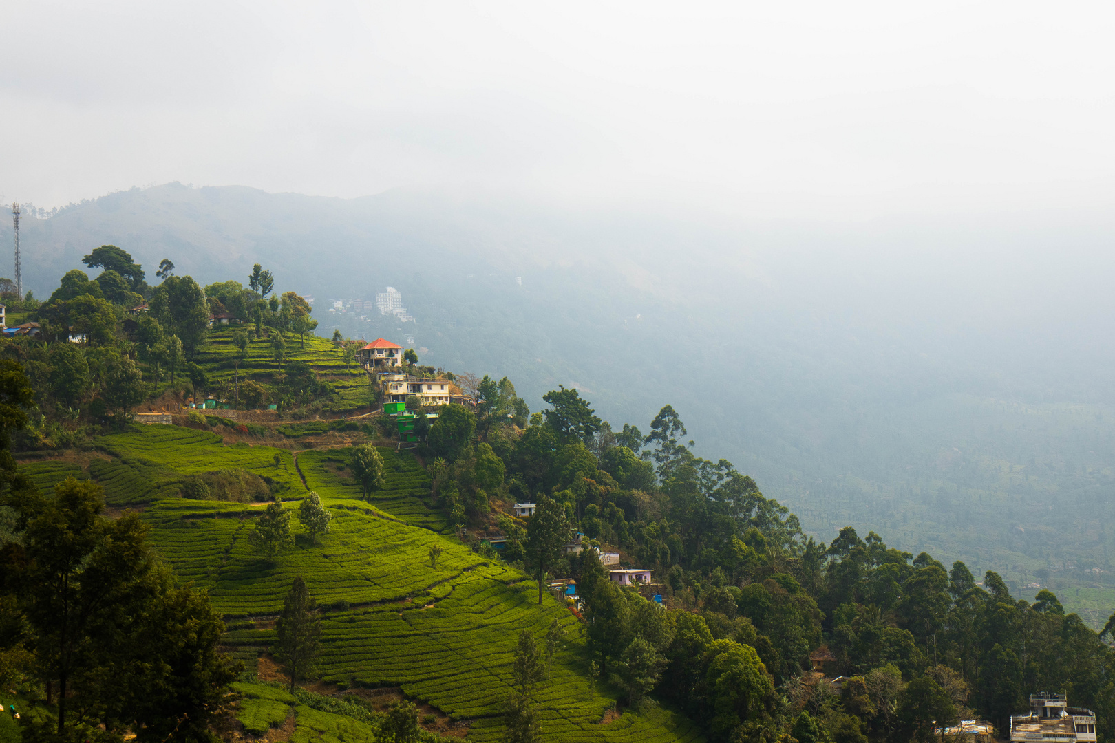 Kerala - Indien