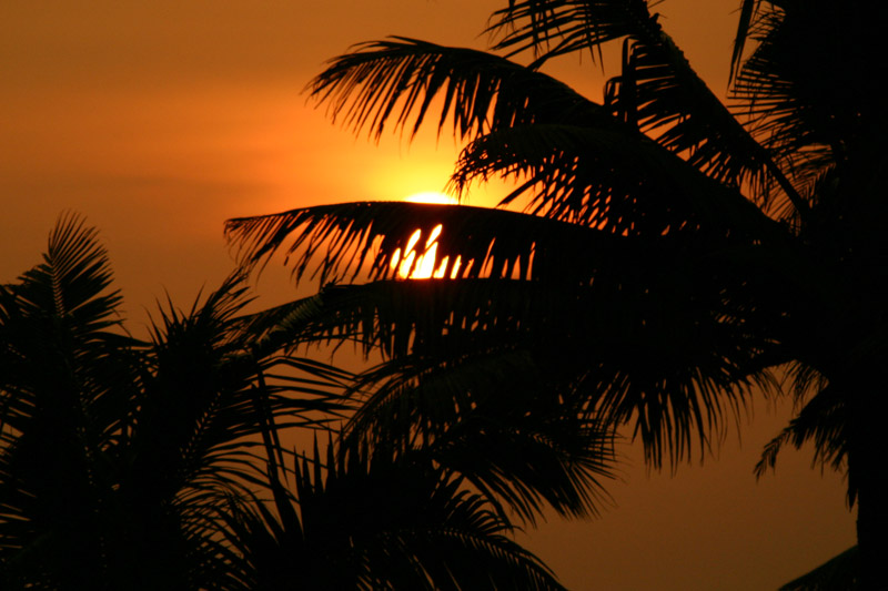 Kerala Kitsch