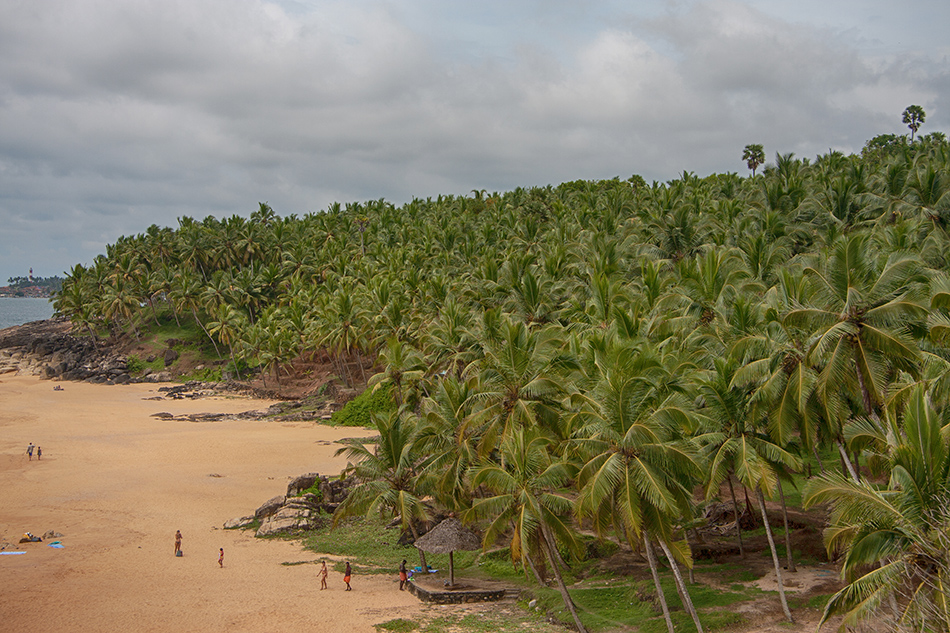 Kerala - Land der Kokospalmen