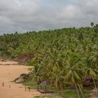 Kerala - Land der Kokospalmen