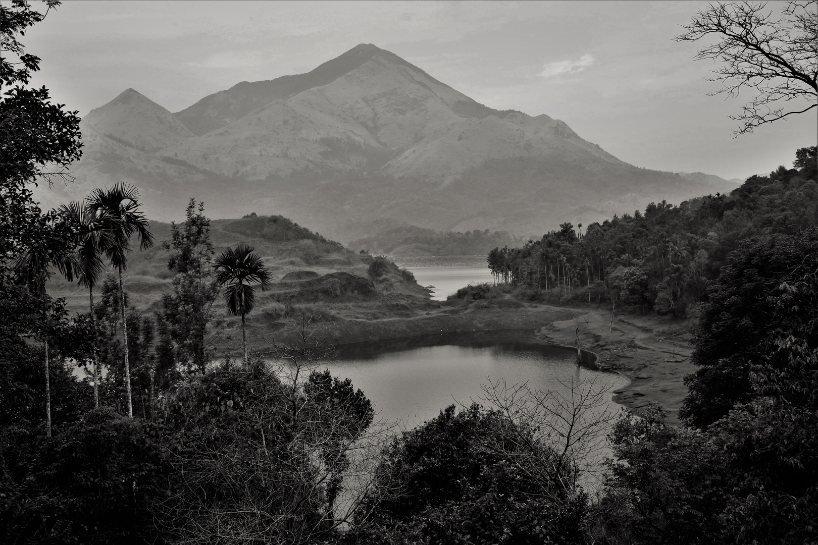 Kerala landscape