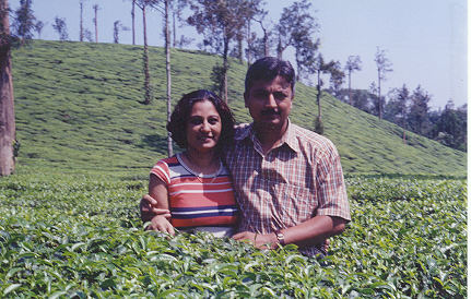 Kerala Tea Garden