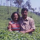 Kerala Tea Garden