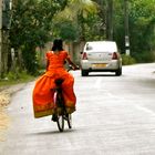 Kerala, Traffic