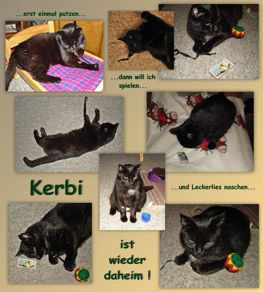 Kerbi ist wieder daheim !!!