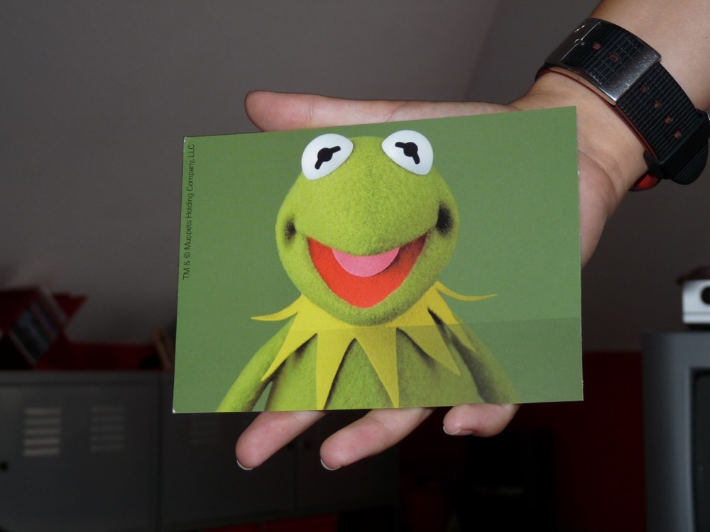 Kermit der Frosch