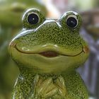 Kermit der Frosch