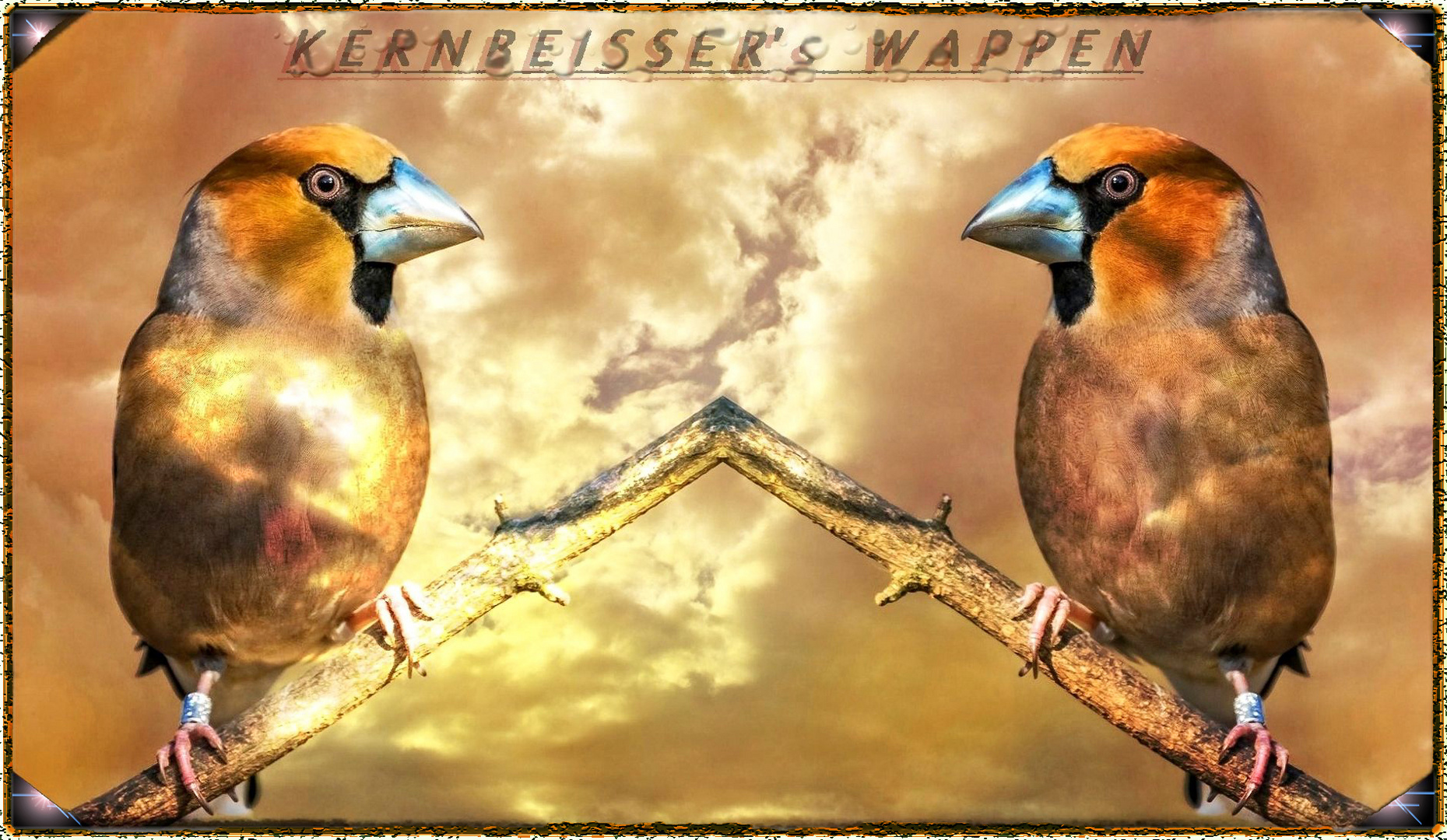 "KERNBEISSER's WAPPEN" (Endbild)