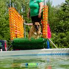 Kerou beim Dog Diving